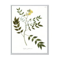 עיצוב אמנות 'עתיק צמחים השמונה עשר' מסורתי ממוסגר בד קיר אמנות הדפסה