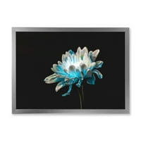 עיצוב 'מקרוב של פרח חיננית כחול לבן וטהור, הדפס אמנות ממוסגר מסורתי