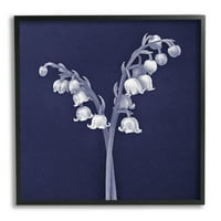 תעשיות סטופל לילי של עמק לבן שחרור פרחים איור ציור שחור ממוסגר אמנות אמנות קיר, עיצוב מאת אולפני גרפיטי